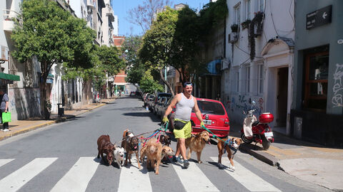 BUENOS AIRES The dogs walker
