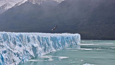 Parque Nacional Los Glaciares Glacier perito moreno